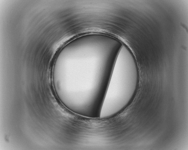 X0000103280987200808291042