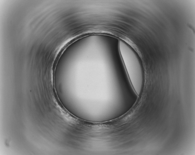 X0000103280988200808291042