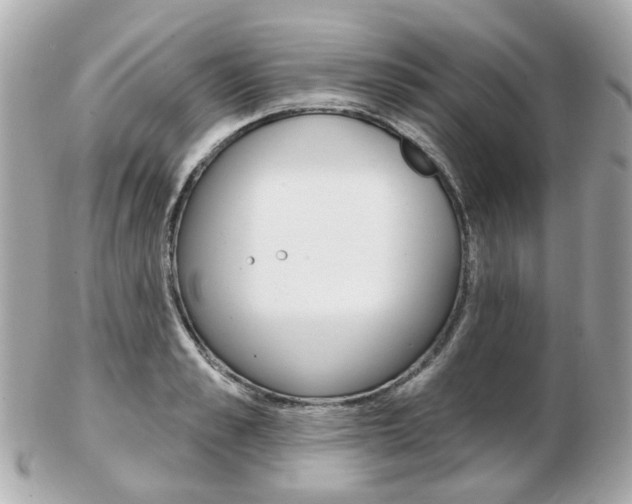 X0000103280989200808291042