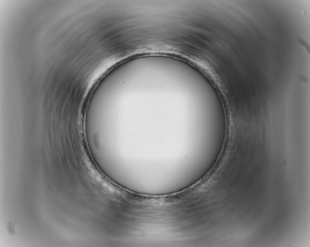 X0000103280990200808291042