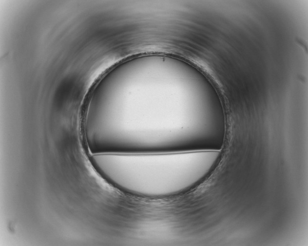 X0000103280991200808291041