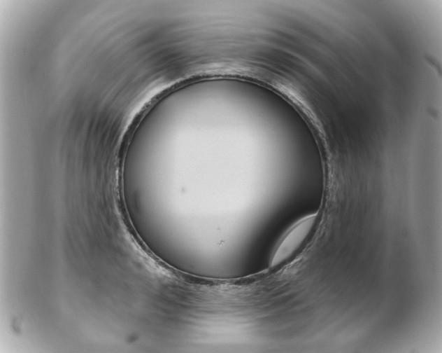 X0000103280992200808291041
