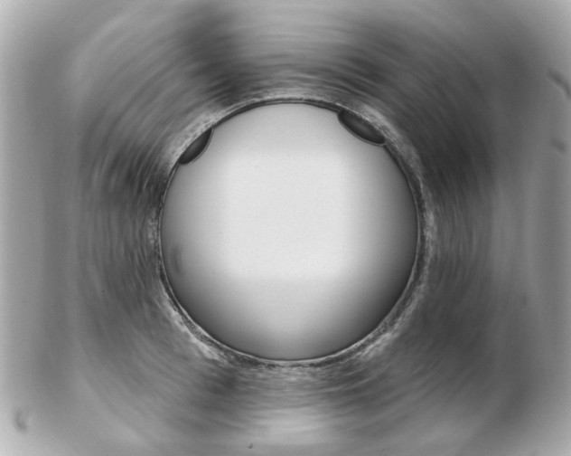 X0000103280993200808291041