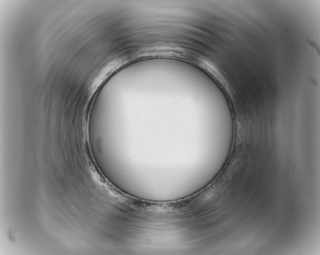 X0000103280994200808291041