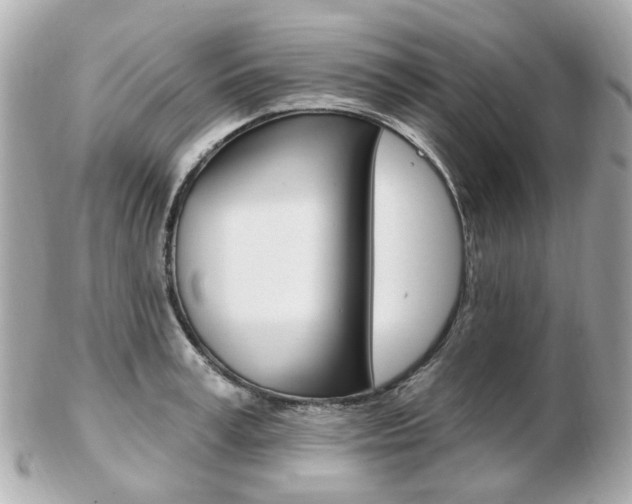 X0000103280995200808291041