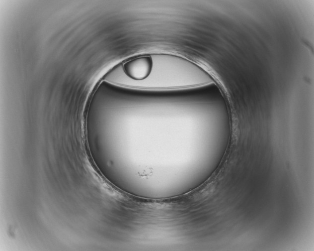 X0000103280996200808291041