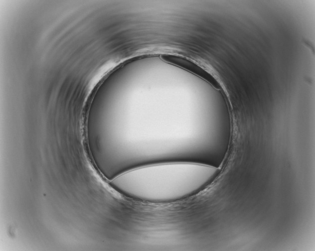 X0000103280997200808291041