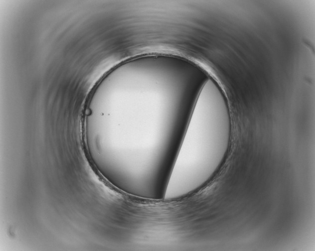 X0000103280999200808291041