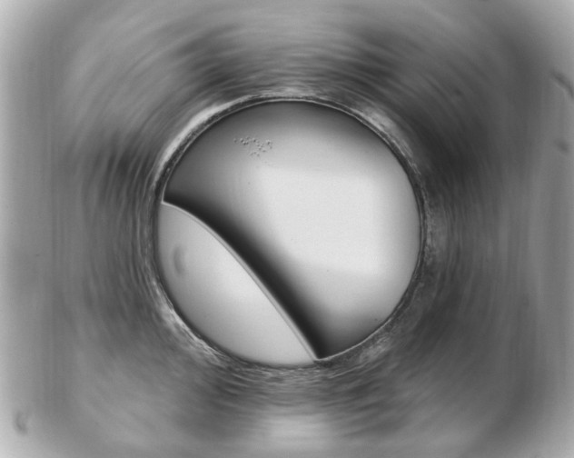 X0000103281000200808291041