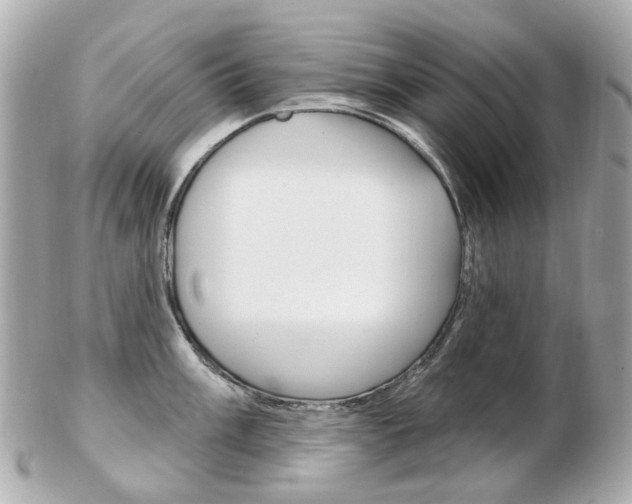 X0000103281003200808291041