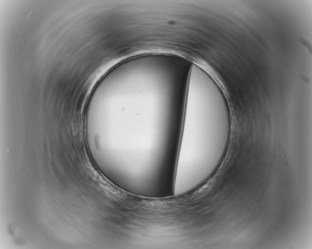 X0000103281004200808291041