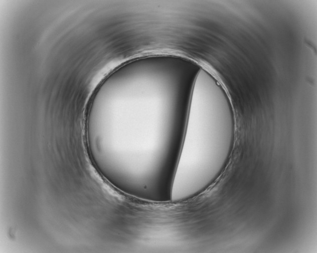 X0000103281005200808291041