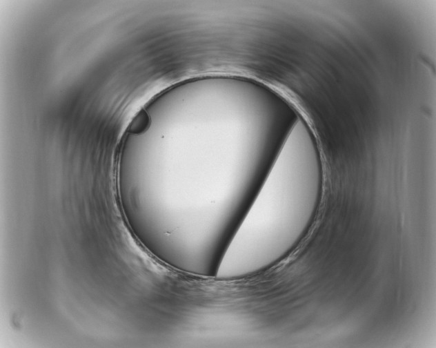 X0000103281006200808291041