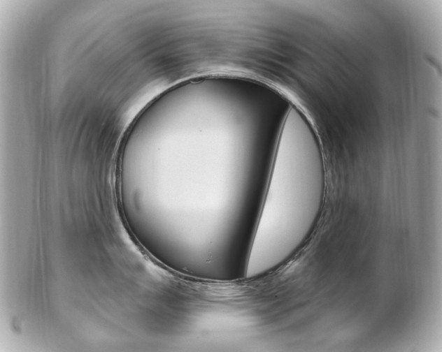 X0000103281007200808291041