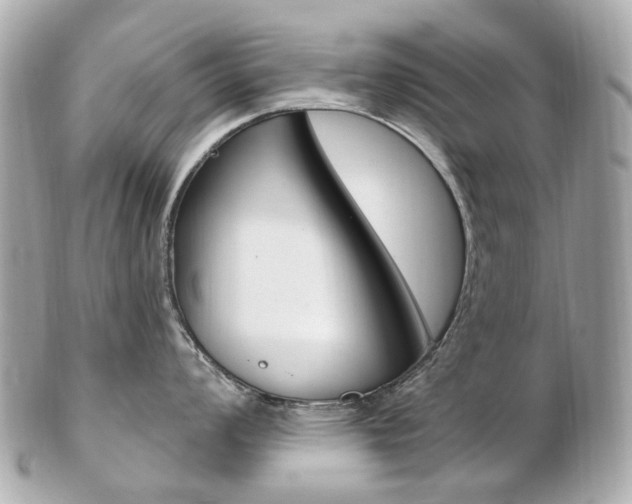 X0000103281008200808291041