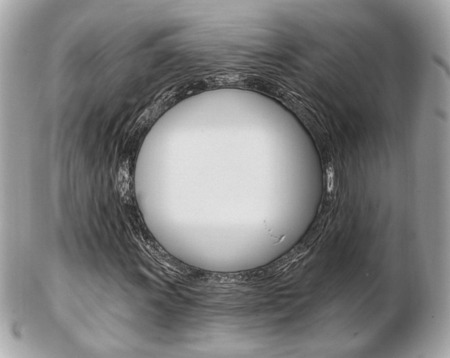 X0000103281011200808291041