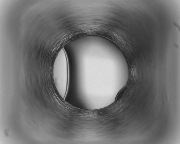 X0000103281012200808291041