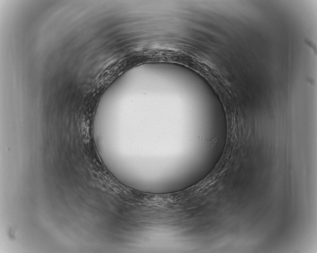 X0000103281013200808291041