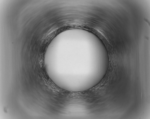 X0000103281015200808291041