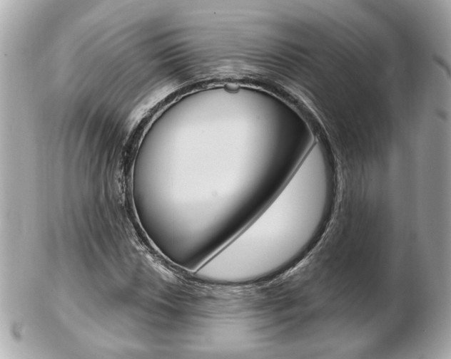 X0000103281018200808291041