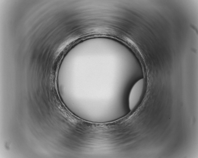X0000103281019200808291041