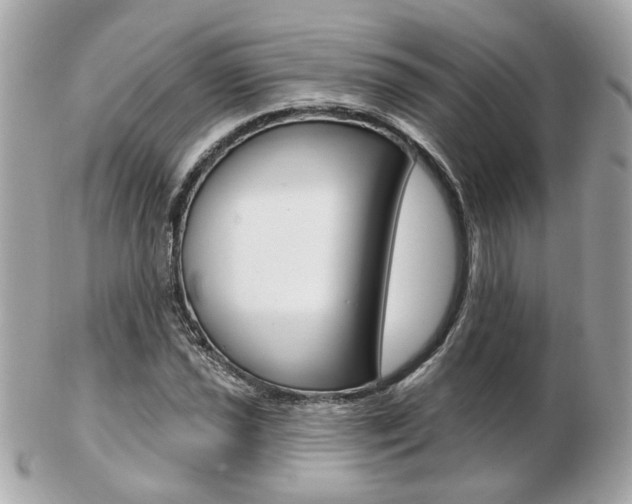 X0000103281021200808291041
