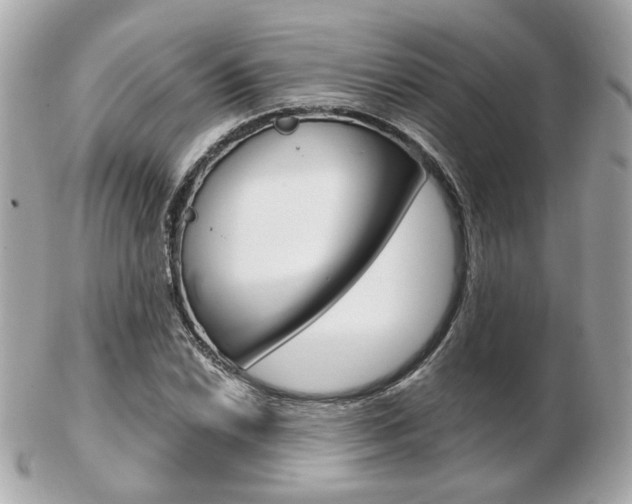 X0000103281022200808291041