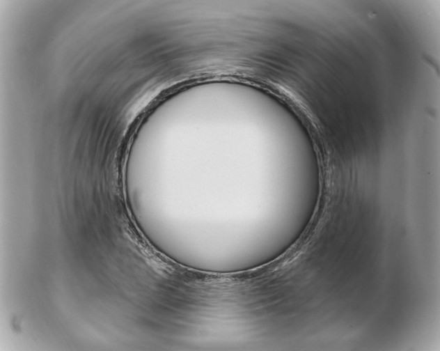X0000103281023200808291041