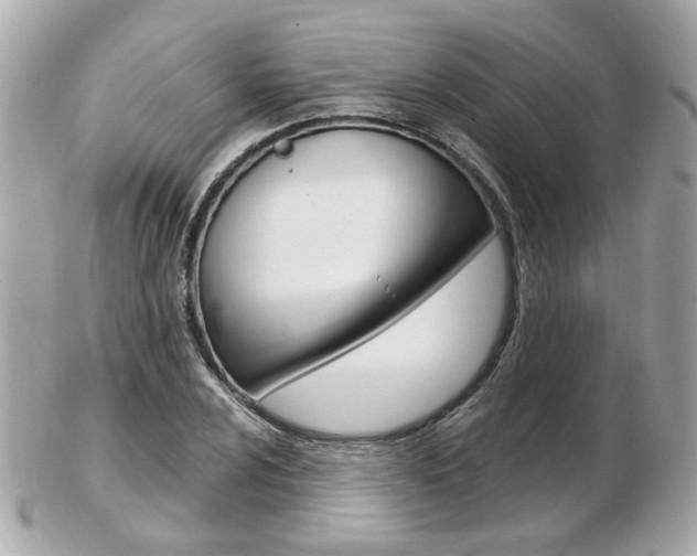 X0000103281024200808291041