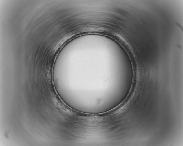 X0000103281025200808291041