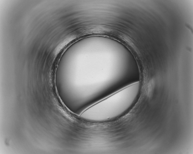 X0000103281026200808291041