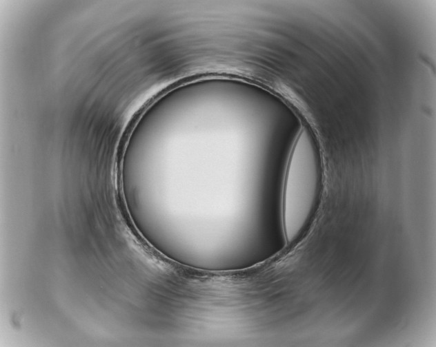 X0000103281028200808291041