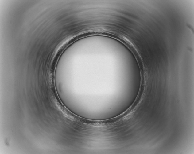 X0000103281029200808291041
