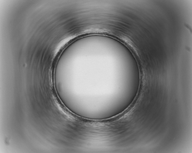 X0000103281030200808291041