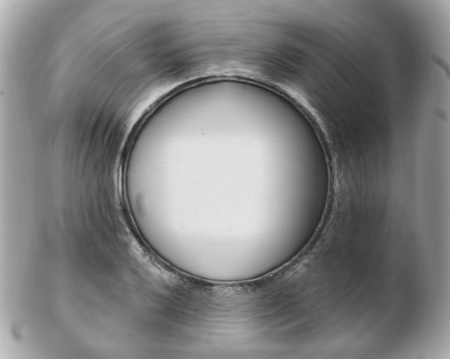 X0000103281032200808291041