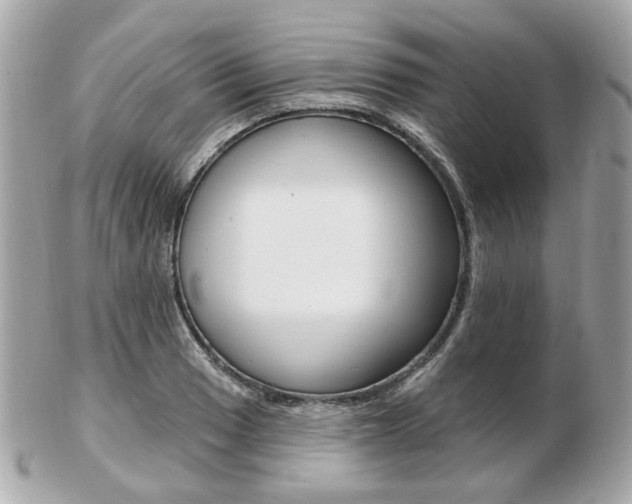 X0000103281033200808291041