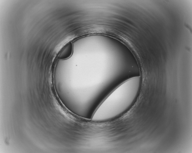 X0000103281034200808291041