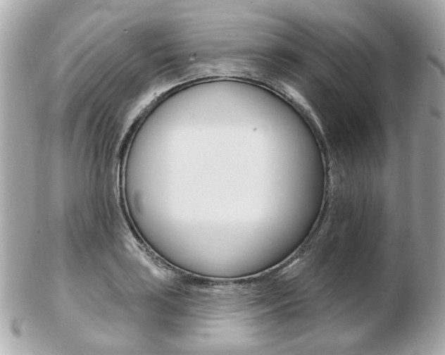 X0000103281035200808291041