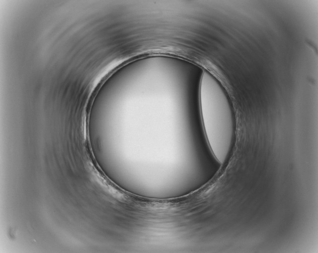 X0000103281036200808291041
