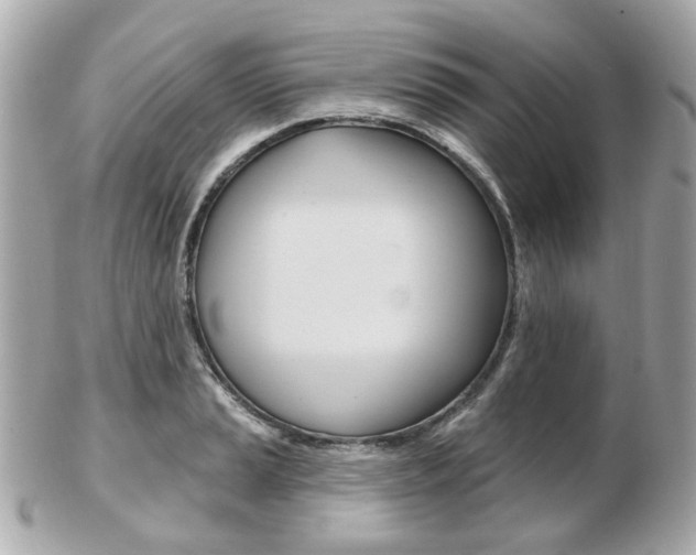 X0000103281037200808291041