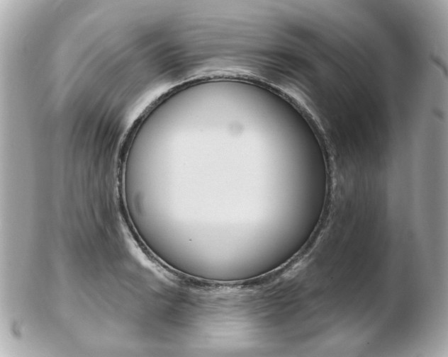 X0000103281038200808291041