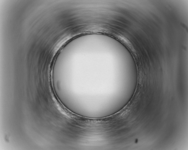 X0000103281039200808291041