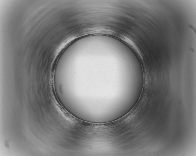 X0000103281043200808291041