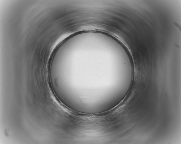 X0000103281045200808291041