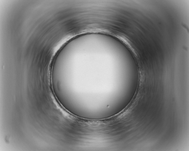 X0000103281046200808291041