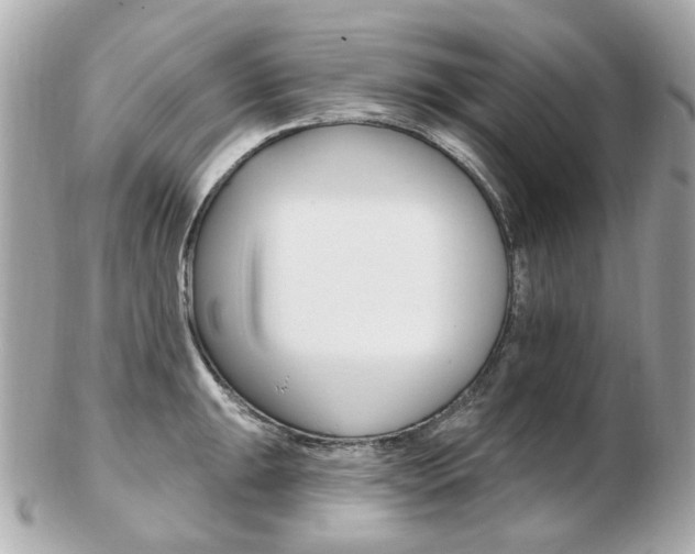 X0000103281047200808291041