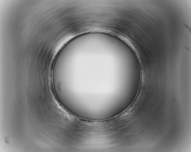 X0000103281048200808291041