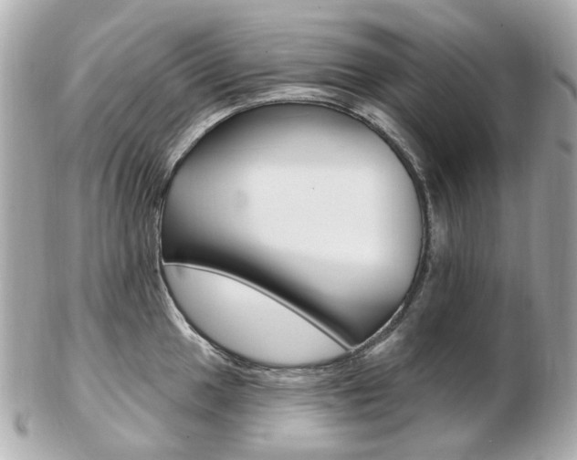 X0000103281049200808291041