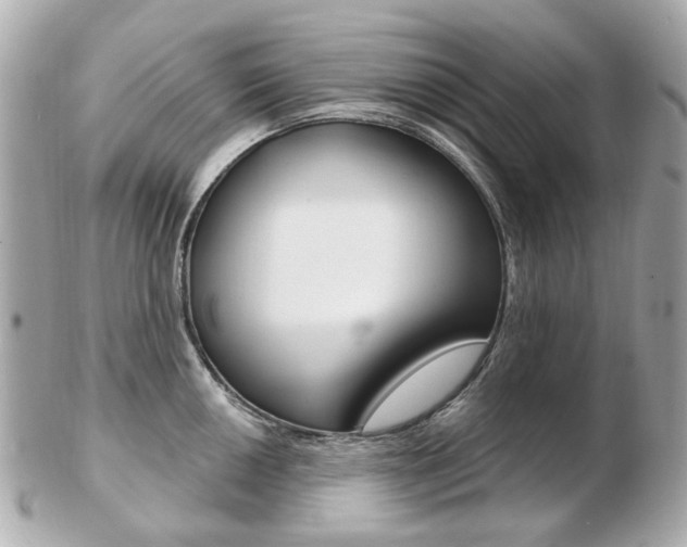 X0000103281050200808291041
