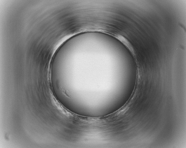 X0000103281052200808291041
